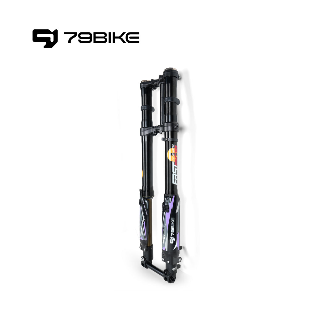 79BIKE FAST - Front fork