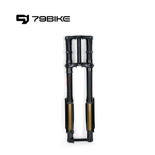 79BIKE FAST - Front fork